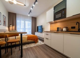 Продажа квартиры студии, 27.3 м2, Сестрорецк, улица Инструментальщиков, 18