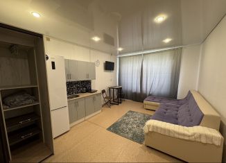 Сдам квартиру студию, 30 м2, Тюмень, Первомайская улица, 58