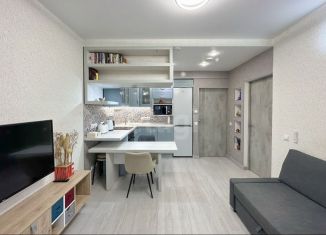 Продаю 1-комнатную квартиру, 37 м2, деревня Хотицы, Загородная улица, 6кБ, ЖК Молодёжный