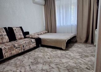 1-ком. квартира в аренду, 30 м2, Сочи, улица Гагарина, 8, микрорайон Гагарина