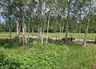 Продажа участка, 5 сот., деревня Бабаиха