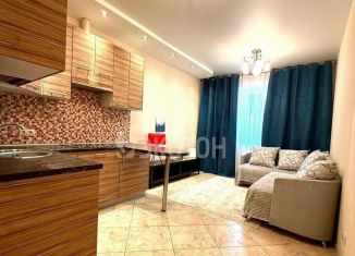 Квартира на продажу студия, 23.4 м2, посёлок Шушары, Вилеровский переулок, 6, ЖК Юнион