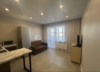 Сдам квартиру студию, 28 м2, Обь, Октябрьская улица, 5