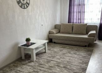 Аренда трехкомнатной квартиры, 68 м2, Воронеж, улица 40 лет Октября