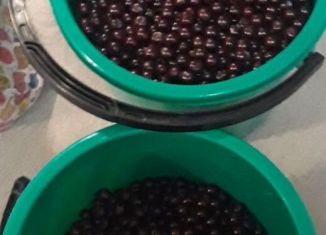 Продажа земельного участка, 19 сот., Пермь