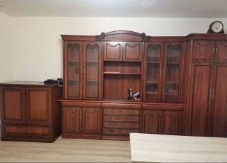 Квартира в аренду студия, 25.8 м2, городской посёлок Янино-1, Голландская улица, 10