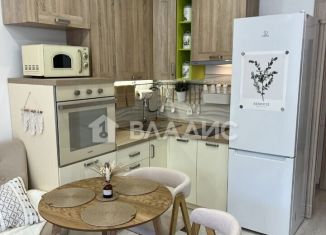 Квартира на продажу студия, 25 м2, Мурино, Охтинская аллея, 10к1, ЖК Девятый вал