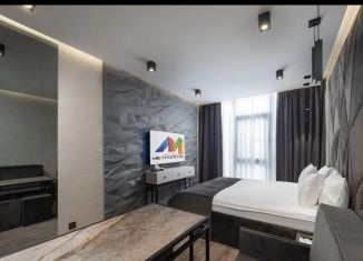 Продается квартира студия, 25 м2, Сочи, Депутатская улица, 10Б/1, ЖК Метрополь
