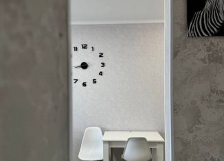 Сдам 2-ком. квартиру, 38.7 м2, Республика Башкортостан, улица Асхата Мирзагитова, 10/1