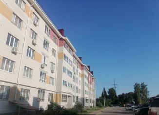 Однокомнатная квартира в аренду, 39 м2, Бор, улица Степана Разина, 24