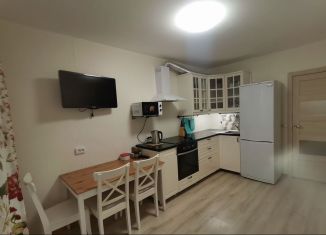 Двухкомнатная квартира в аренду, 53 м2, городской посёлок Янино-1, Голландская улица, 10к1
