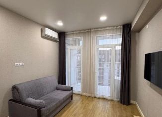 Квартира на продажу студия, 24 м2, Сочи, Клубничная улица, 62, микрорайон Новый Сочи