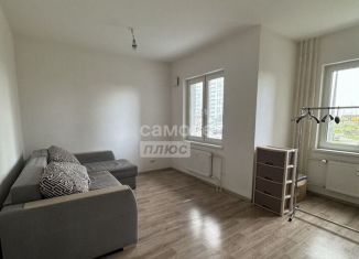 Сдам однокомнатную квартиру, 27 м2, Санкт-Петербург, Муринская дорога, 10к1, метро Академическая