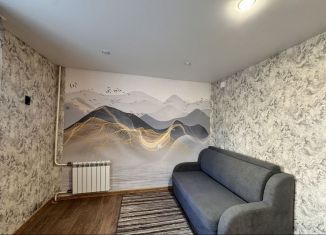 Продам 1-ком. квартиру, 27 м2, Киров, Производственная улица, 16