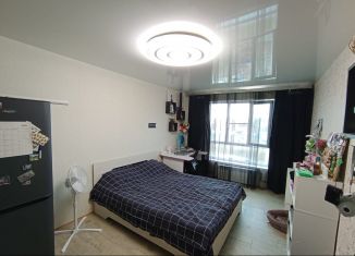Продажа квартиры студии, 23 м2, Мурманск, Фестивальная улица, 9