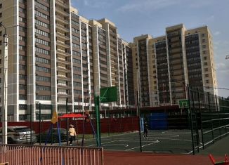 Продаю 1-комнатную квартиру, 44.9 м2, Благовещенск, Заводская улица, 4/5, ЖК Лазурный Берег