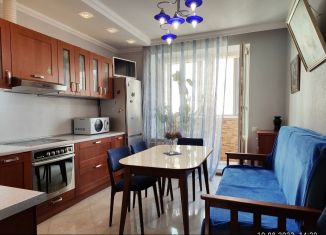 Сдача в аренду двухкомнатной квартиры, 88 м2, Санкт-Петербург, проспект Луначарского, 11к3