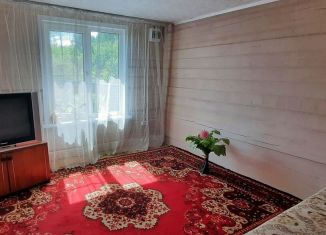 Дача на продажу, 40 м2, СНТ Химик, 4-я аллея, 43