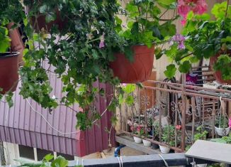 Сдам в аренду дом, 20 м2, Сочи, улица Яна Фабрициуса, 2/36А