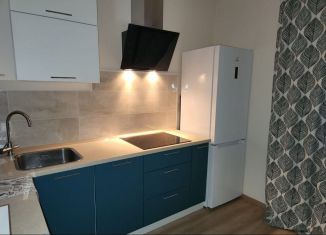 Сдам в аренду однокомнатную квартиру, 32 м2, Мурино, Петровский бульвар, 14к5, ЖК Краски Лета