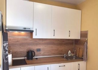 Продажа квартиры студии, 26.5 м2, Санкт-Петербург, улица Фёдора Котанова, 13к1, ЖК Светлый Мир Жизнь