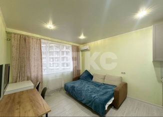 Продается квартира студия, 23 м2, Сочи, улица Гончарова, 10, микрорайон Донская