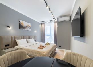 Продается квартира студия, 24.1 м2, Сочи, Ясногорская улица, 16/6к5, микрорайон Бытха