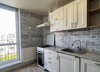 Сдаю в аренду однокомнатную квартиру, 27 м2, посёлок Голубево, Изумрудная улица, 1А