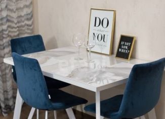 Сдам однокомнатную квартиру, 42 м2, Воронеж, улица Загоровского, 1, ЖК Россия - Пять столиц