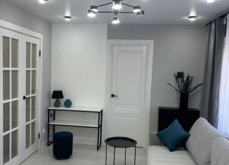 Продается двухкомнатная квартира, 47 м2, Татарстан, проспект Ибрагимова, 14