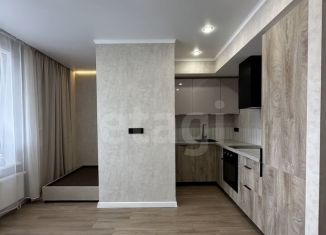 Аренда квартиры студии, 27 м2, Тюмень, улица Константина Посьета, 4, ЖК Пятый квартал