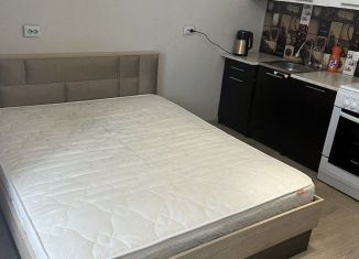 Сдаю в аренду квартиру студию, 28 м2, Тюмень, улица Фармана Салманова, 10