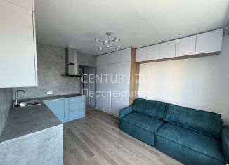 Квартира на продажу студия, 20 м2, Люберцы, улица Лётчика Ларюшина, 4к2, ЖК Жулебино Парк