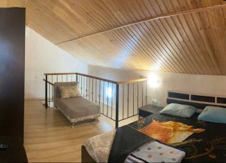 Сдается коттедж, 40 м2, поселок городского типа Заозерное, улица Аллея Дружбы, 14к3