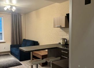 Сдаю в аренду квартиру студию, 22 м2, Мурино, Петровский бульвар, 7, ЖК Ласточка
