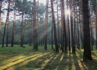 Продаю земельный участок, 6.8 сот., деревня Авдотьино, Нагорная улица