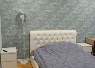 Сдача в аренду комнаты, 18 м2, Санкт-Петербург, 2-я линия Васильевского острова, метро Горный институт