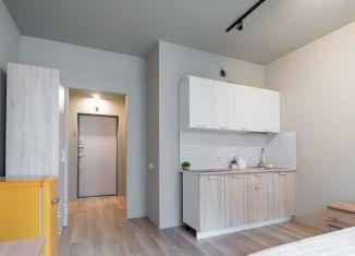 Продам квартиру студию, 20.3 м2, Санкт-Петербург, метро Елизаровская, улица Крыленко, 2