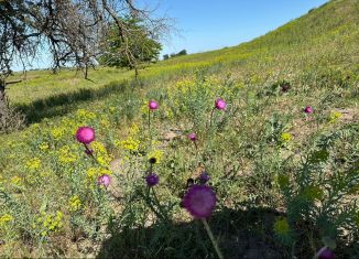 Продажа участка, 100 сот., Тюмень, Ленинский округ