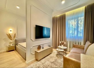 Продается квартира студия, 28 м2, Сочи, Виноградная улица, 14, микрорайон Новый Сочи