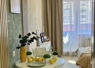Квартира в аренду студия, 33 м2, Чебоксары, улица Филиппа Лукина, 3