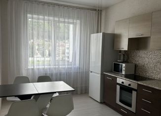 Аренда однокомнатной квартиры, 33 м2, Горно-Алтайск, улица Осипенко, 31