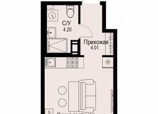 Продаю квартиру студию, 22 м2, Санкт-Петербург, Петроградский район