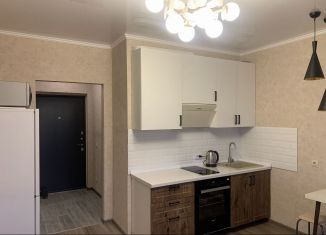 Квартира в аренду студия, 25 м2, Санкт-Петербург, улица Вадима Шефнера, 4, метро Приморская