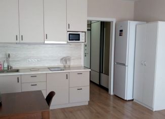 Сдача в аренду квартиры студии, 26 м2, Люберцы, улица 8 Марта, 48к1, ЖК Гоголь Парк