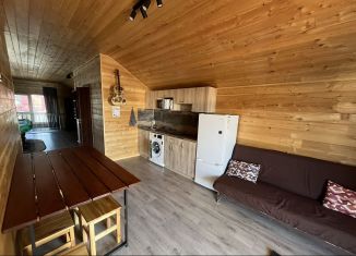 Дом в аренду, 80 м2, Яровое, улица Химиков, 26