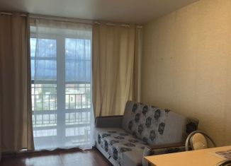 Аренда квартиры студии, 24 м2, Новосибирск, Кубовая улица, Заельцовский район