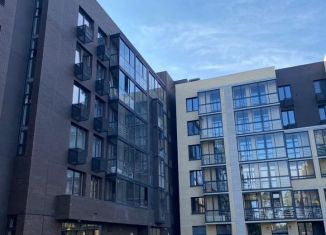 Сдается в аренду 1-комнатная квартира, 35 м2, деревня Аристово, Косой переулок, 3