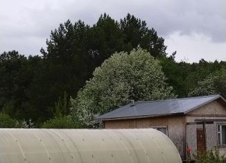 Продам дачу, 25 м2, Сарапул, площадь 200 лет Сарапулу