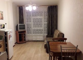 Квартира в аренду студия, 25 м2, Мурино, улица Шоссе в Лаврики, 67, ЖК Муринское-1